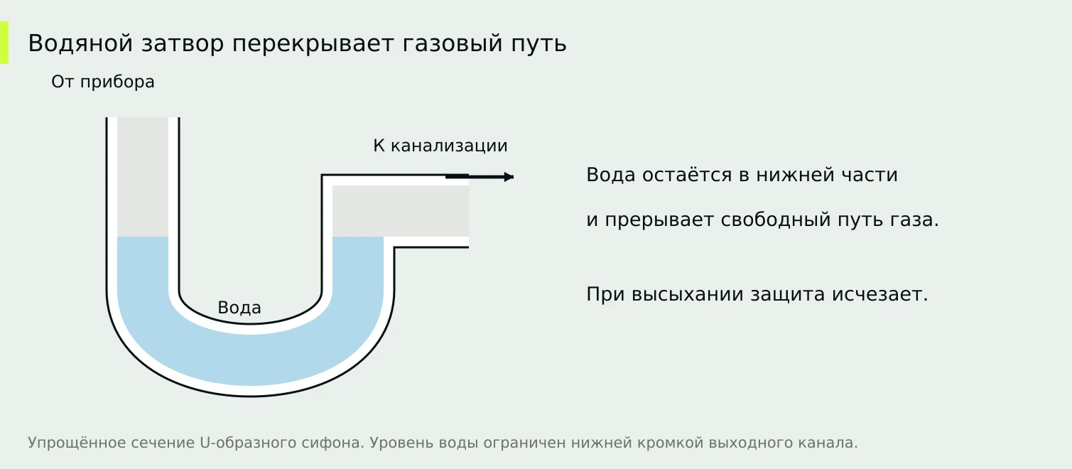 Белые стенки полимерного сифона, голубая вода и свободная полость над ней показаны отдельно.